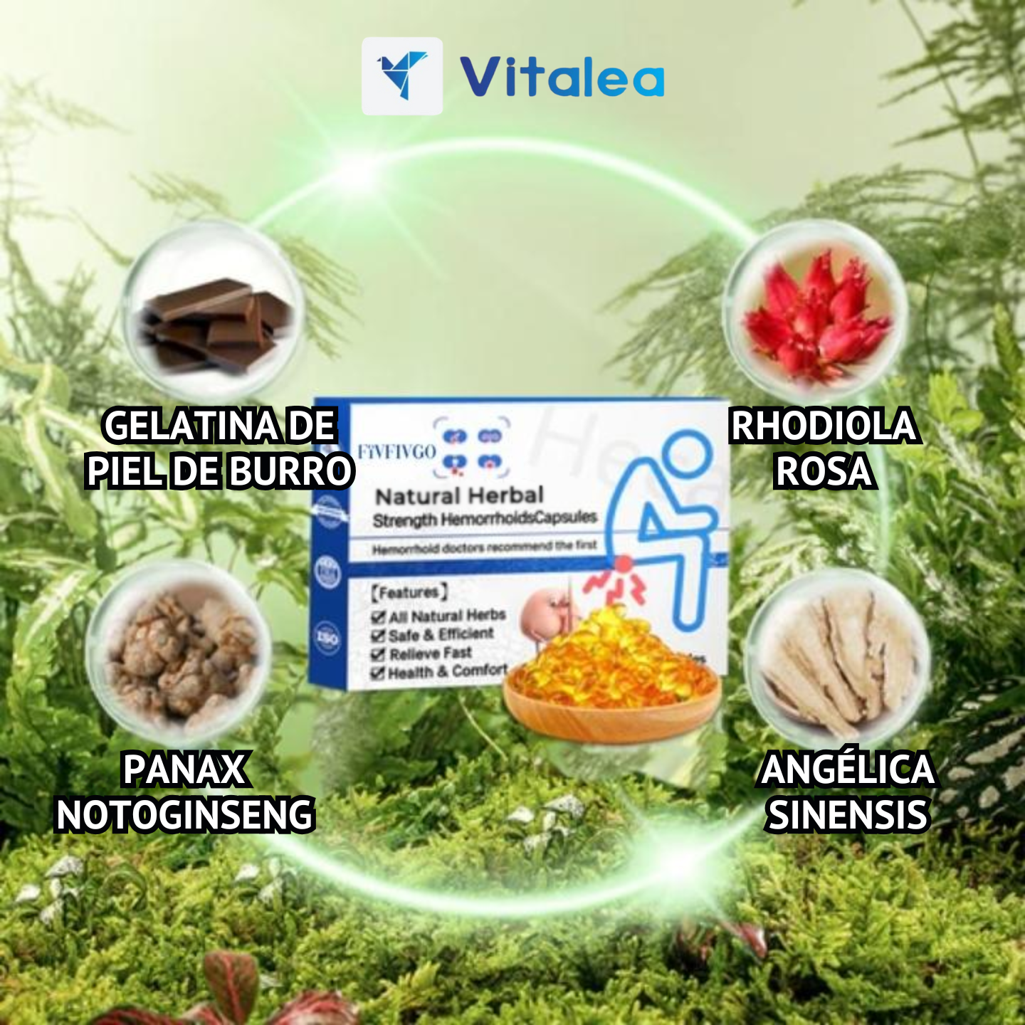 ⚕️Cápsulas💊 para hemorroides a base de hierbas naturales Fivfivgo™⚕️