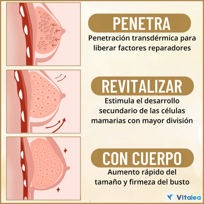 1+1 GRATIS✨FirmShape™ - Parches reafirmantes para aumentar el pecho✨