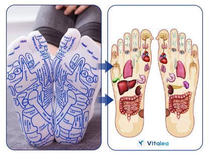 🧦Calcetines con tabla de reflexología y acupresión Fivfivgo™ con herramientas de color ámbar