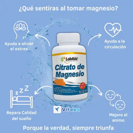 ZenMag: Tu aliado para una vida llena de energía y bienestar.