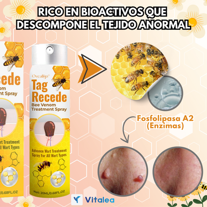 ⛫💨TagRecede™ | 🛇 Elimina las verrugas de forma natural⛫💨