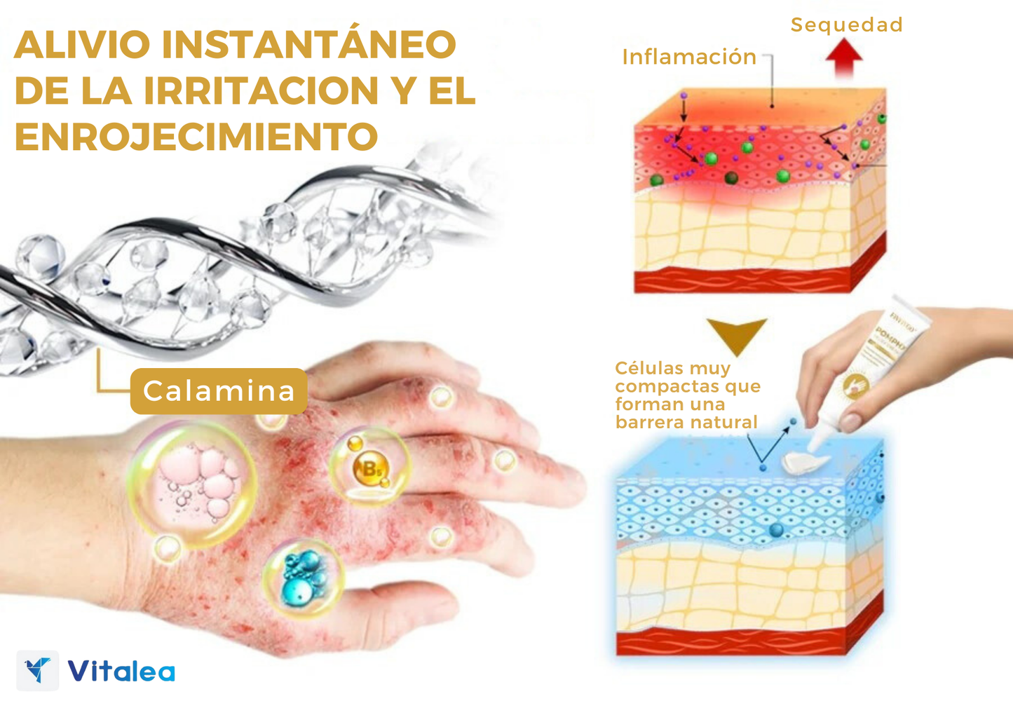 🧴Pomphx: Soluciones dermatológicas para una piel perfecta.🧴