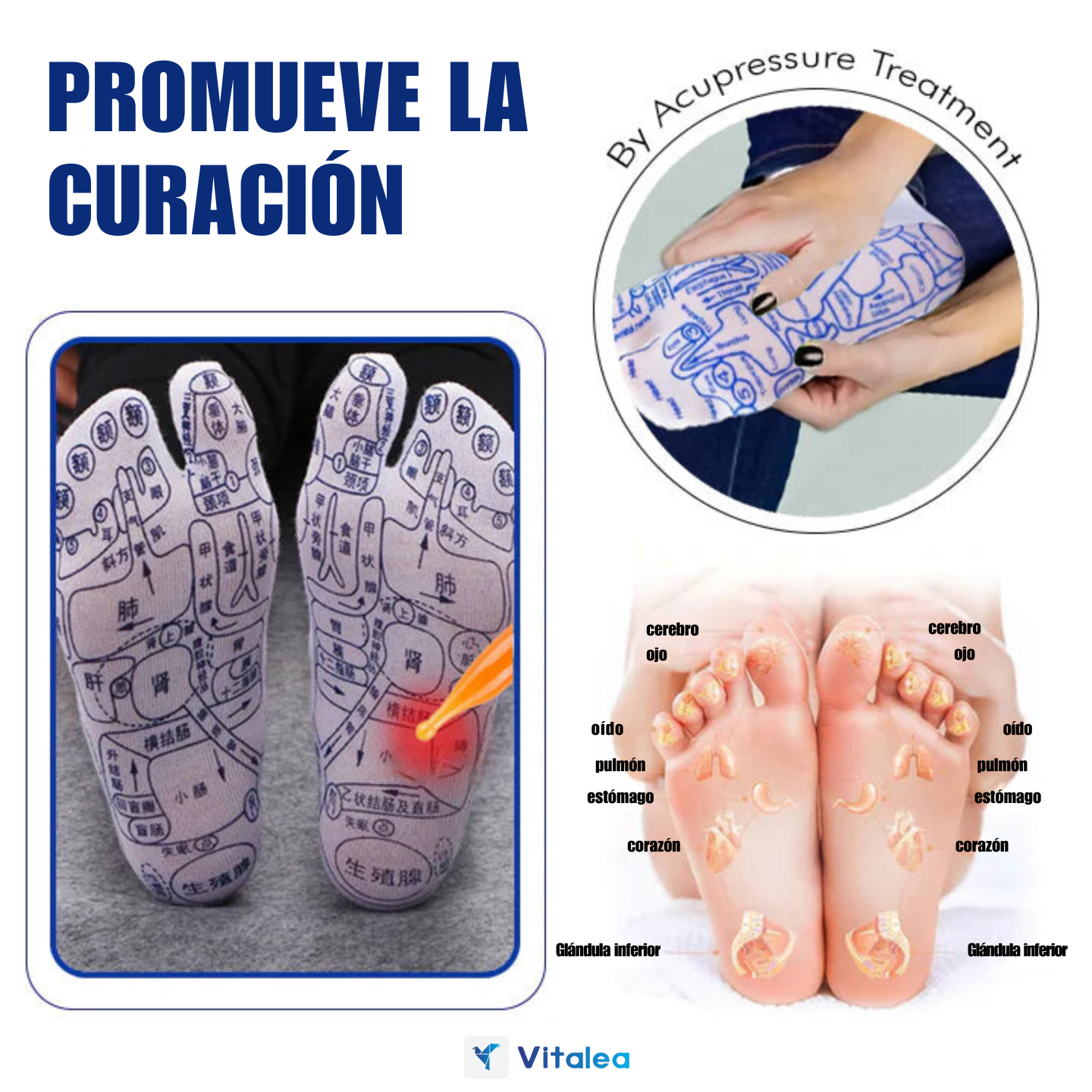 🧦Calcetines con tabla de reflexología y acupresión Fivfivgo™ con herramientas de color ámbar