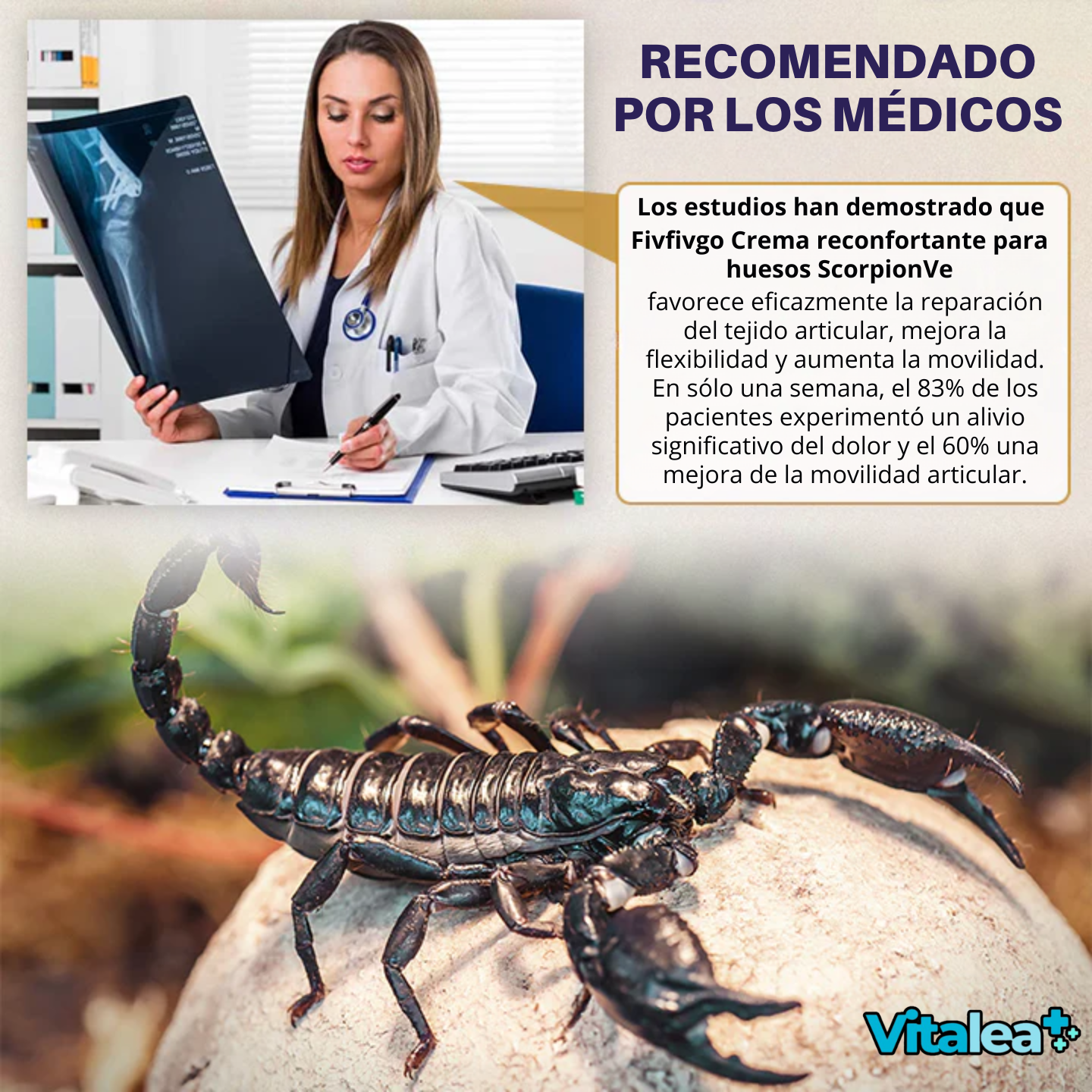 Fivfivgo™ Crema reconfortante para huesos ScorpionVenom🦂