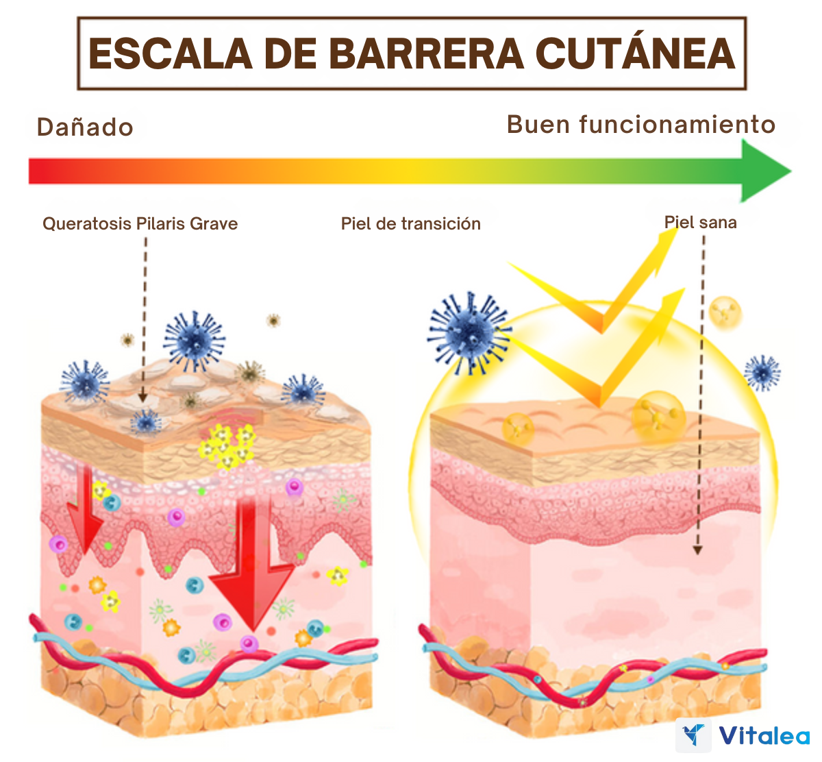 🧼Keratone- Jabón con Extracto de Abeja🐝