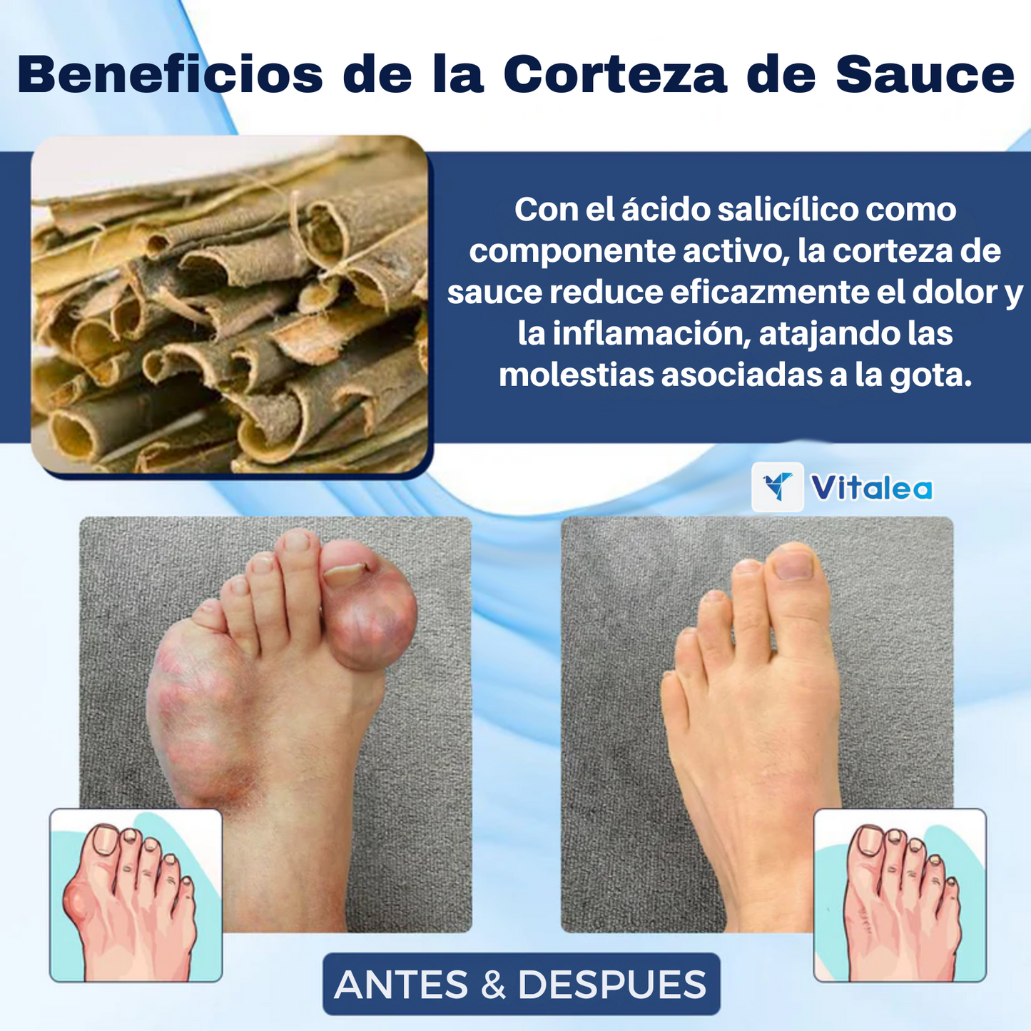 🩹Parche a base de hierbas para aliviar la gota y las articulaciones🩹