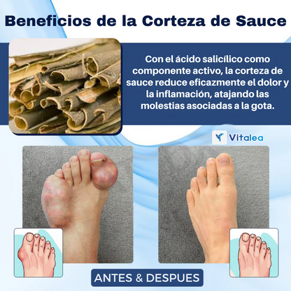 🩹Parche a base de hierbas para aliviar la gota y las articulaciones🩹